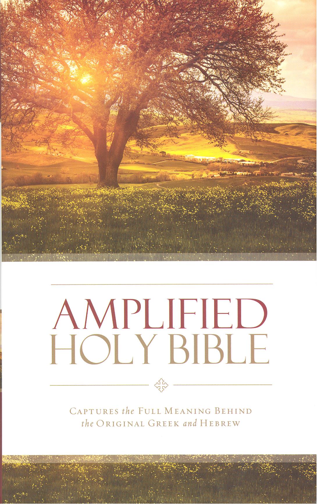 amplified bible