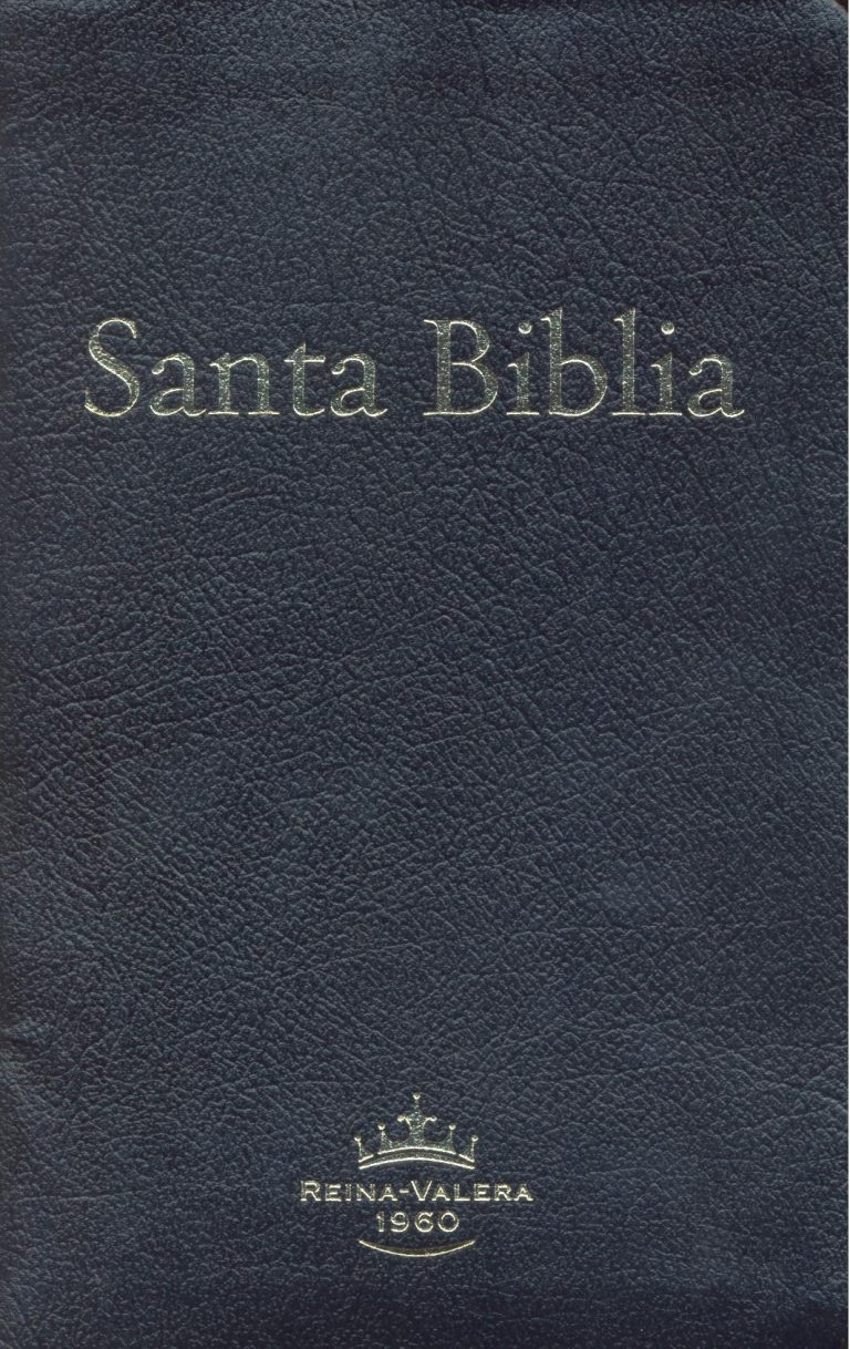 ABS Spanish Large Print Bible, Bonded Leather, index Gospel