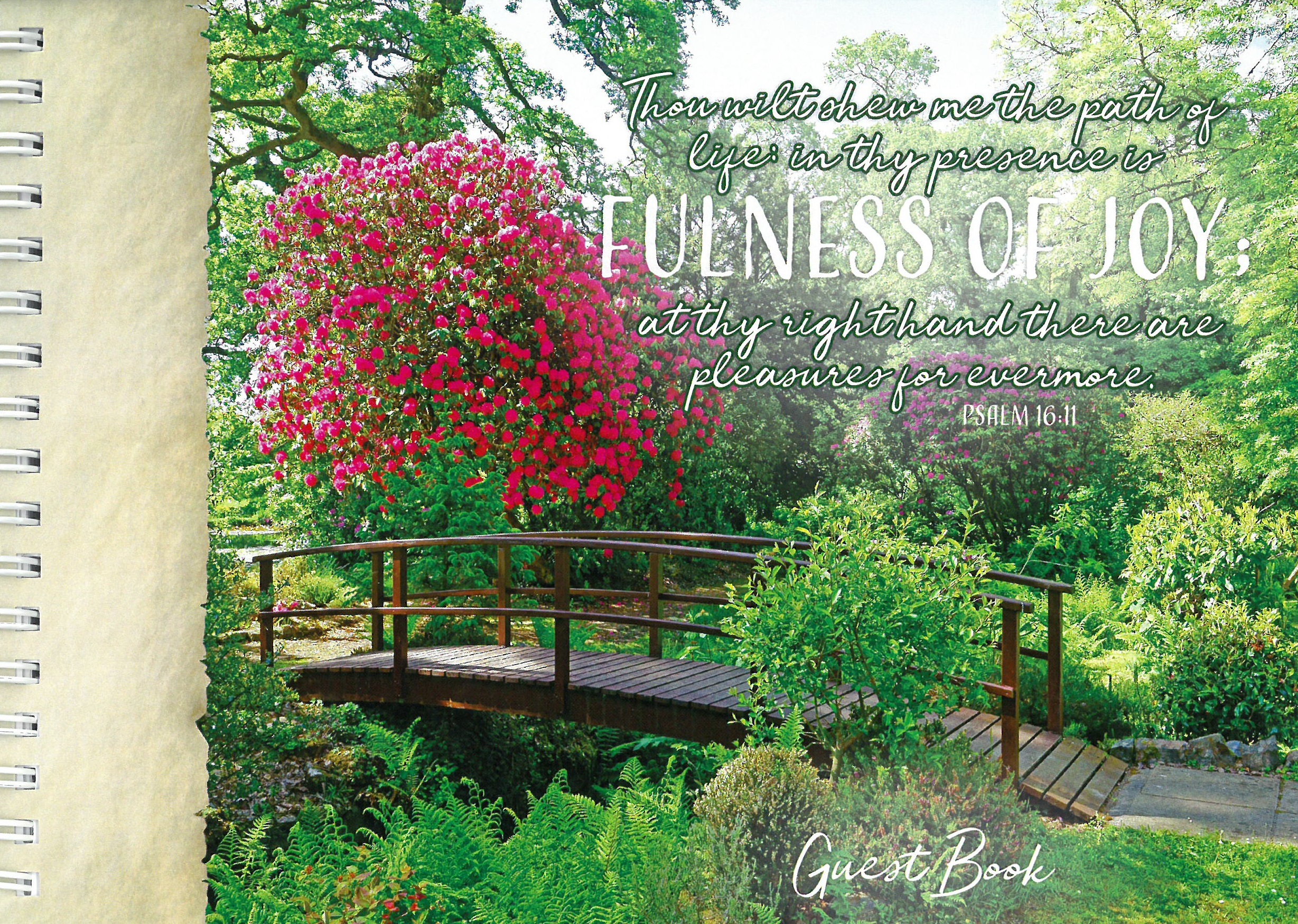 Faith View Creations Gospel Publishers USA