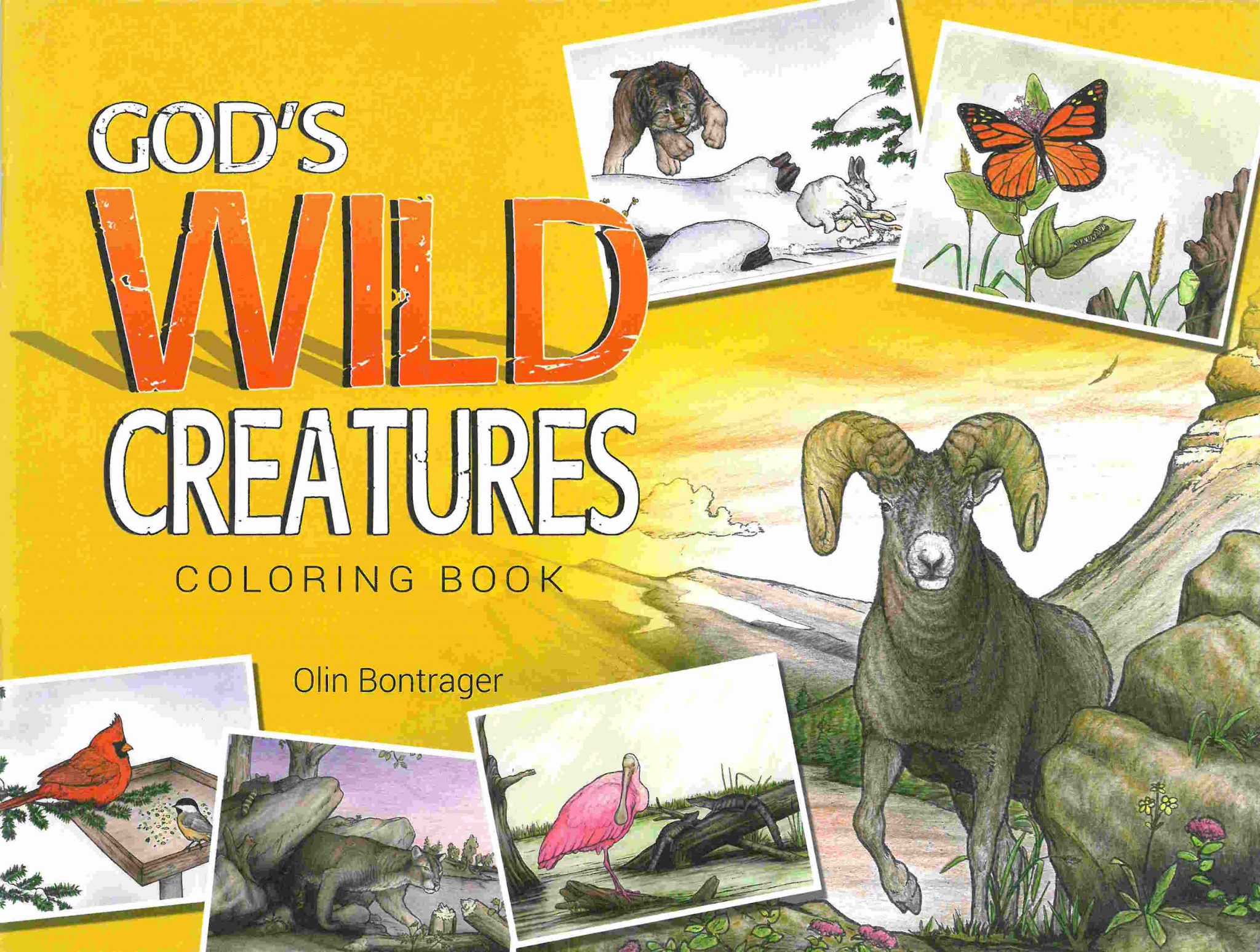 god-s-wild-creatures-gospel-publishers-usa