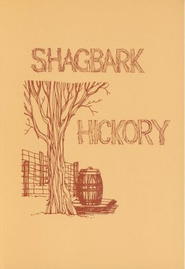 Shagbark Hickory